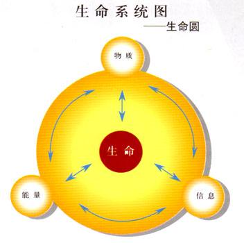 生(shēng)命水(shuǐ)能(néng)量