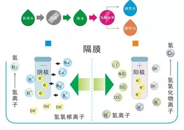 電(diàn)解水(shuǐ)機(jī)工(gōng)作原理