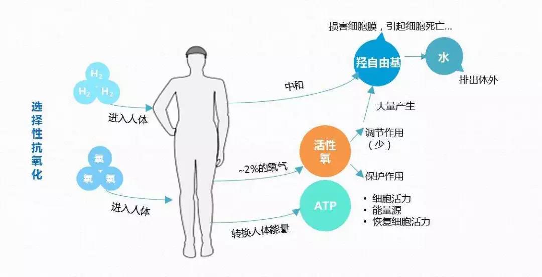 精細解答--還(hái)原機(jī)究竟是什麽？