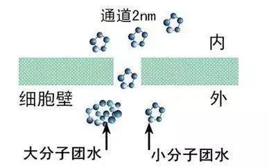 精細解答--還(hái)原機(jī)究竟是什麽？